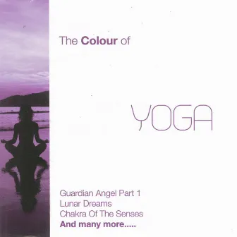 The Colour of Yoga, Vol. 3 by Ravi Chawla