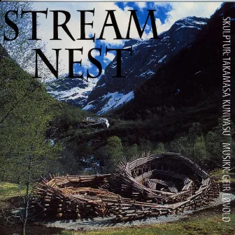 Stream Nest by Geir Løvold