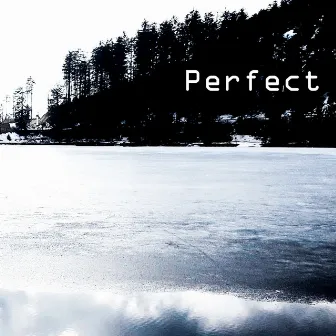 Perfect by Anna Maria Bagger