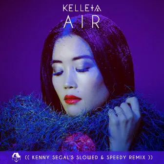 Air (Kenny Segal's Slowed & Speedy Remix) by Kelleia