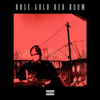 Rose Gold Red Room by BIG MIDAS