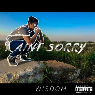 I Aint Sorry by Wisdom