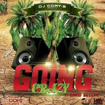 Going Crazy (feat. David Seccia) by Dj Cort-S