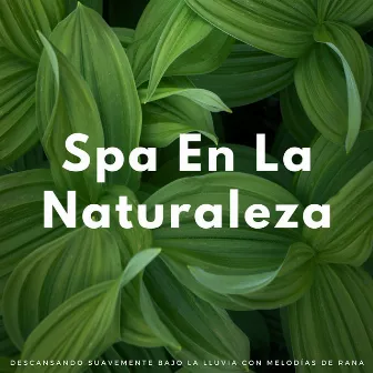 Spa En La Naturaleza: Descansando Suavemente Bajo La Lluvia Con Melodías De Rana by Fondo Sonido Efectos Meditación Spa