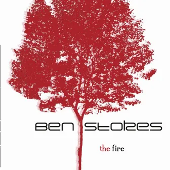 The Fire by Ben Stokes