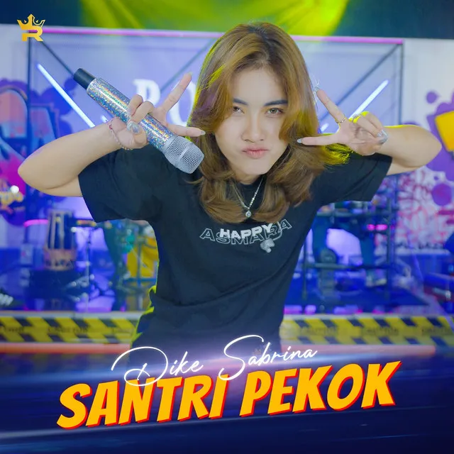 Santri Pekok - Cover