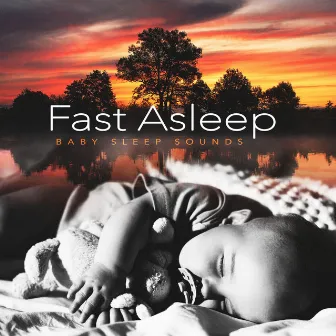 Fast Asleep by Baby Sleep Sounds