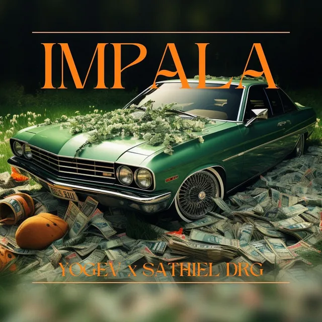 Impala