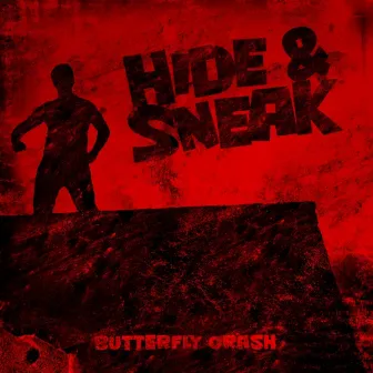 Hide & Sneak by Butterfly Crash