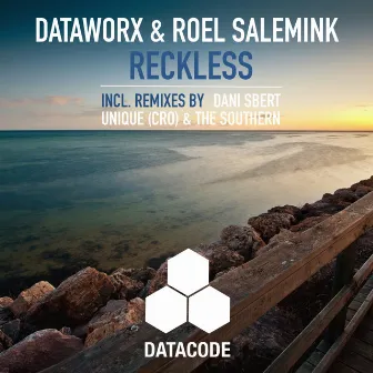 Reckless by Dataworx