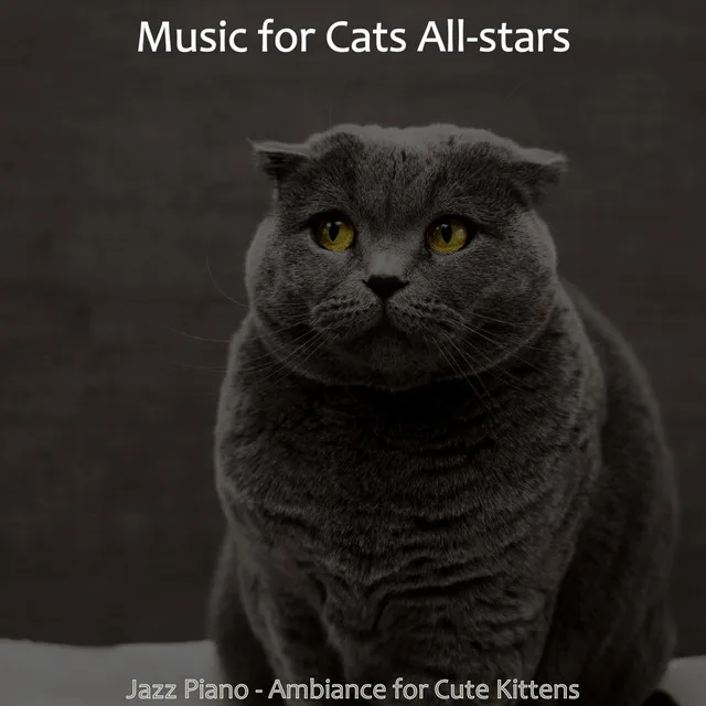 Jazz Piano - Ambiance for Cute Kittens