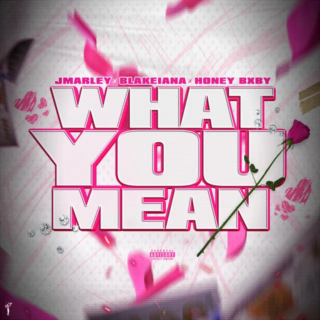 What You Mean