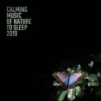 Calming Music of Nature to Sleep 2019 by Source of Serenity