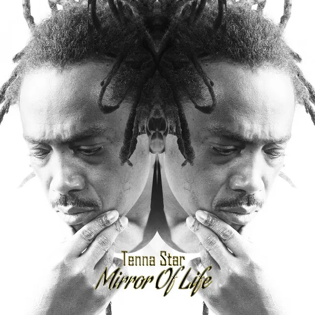 Mirror of Life