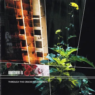 Through the Cracks of Concrete by Brother El