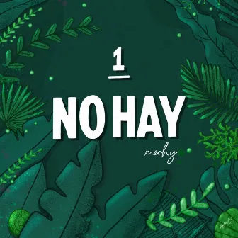 No Hay by Mechy