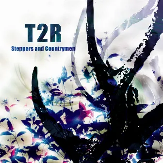 Steppers and Countrymen by T2R