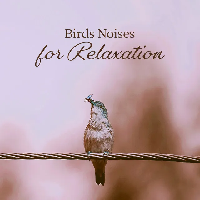 Birds Noises for Relaxation: Gentle Natural Noises That Will Relieve You from Stress and Anxiety