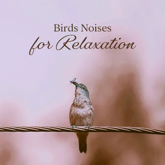 Birds Noises for Relaxation: Gentle Natural Noises That Will Relieve You from Stress and Anxiety by Soothing Music Specialists