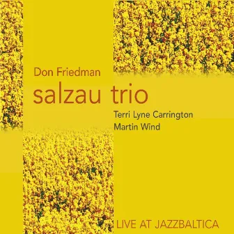 Live at Jazzbaltica feat. Terri Lyne Carrington, Martin Wind by Don Friedman