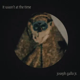 It Wasn't At The Time by Joseph Gallo Jr.