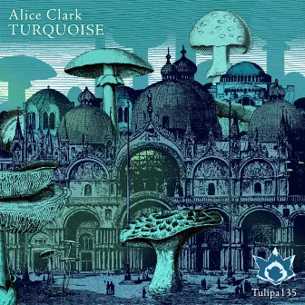 Turquoise by Alice Clark