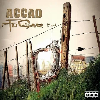 Fugar by Accad