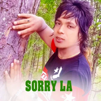 Sorry La by Mohit Munal