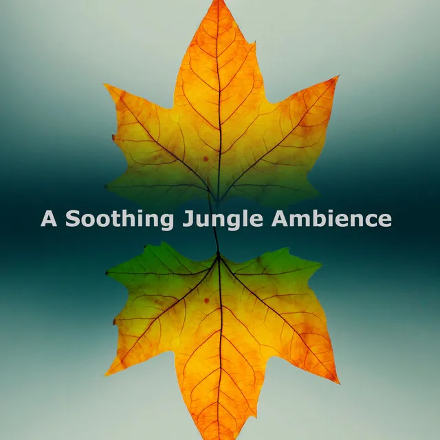 A Soothing Jungle Ambience