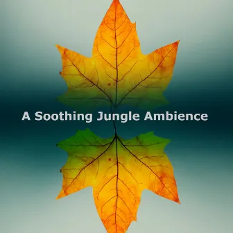 A Soothing Jungle Ambience by Unknown Artist