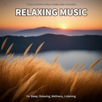 #01 Relaxing Music for Sleep, Relaxing, Wellness, Listening by Relaxing Music for Deep Sleep