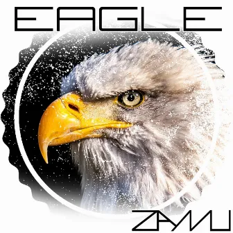 Eagle by Zamu