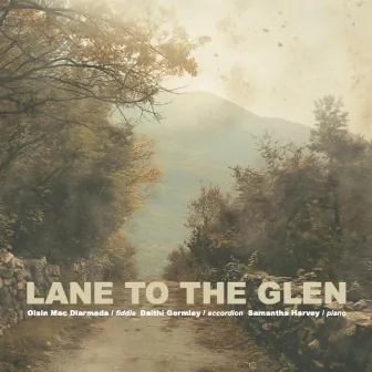 Lane To The Glen by Oisín Mac Diarmada