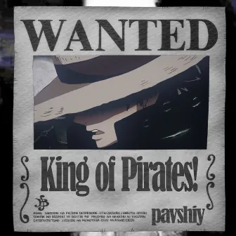 King of Pirates! by pavshiy