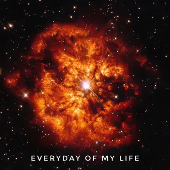 Everyday Of My Life by MC Finchy