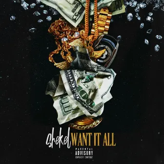 Want It All by SHEKEL