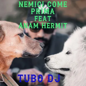 NEMICI COME PRIMA by tubo dj