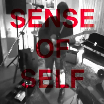 Sense of Self by The Moon Illusion