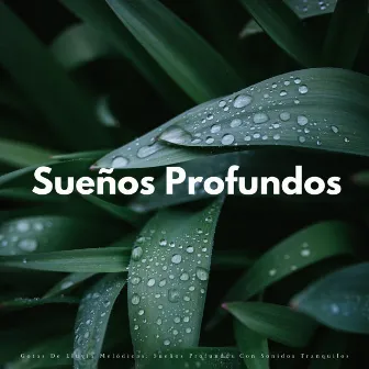 Gotas De Lluvia Melódicas: Sueños Profundos Con Sonidos Tranquilos by Contando Ovejas