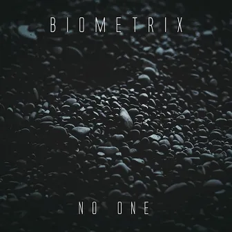 No One by Biometrix