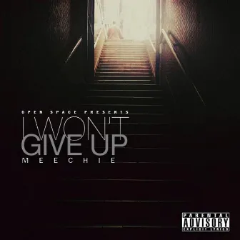 I Won't Give Up by Meechie