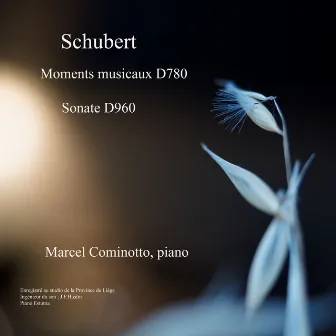 Schubert by Marcel Cominotto