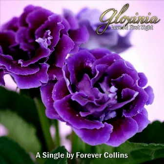 Gloxinia (Love At First Sight) by Bryan Lyrics