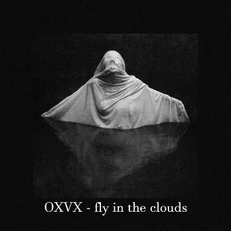 fly in the clouds by OXVX