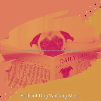 Simplistic Guitars and Mandolin - Ambiance for Walking Your Dog by 