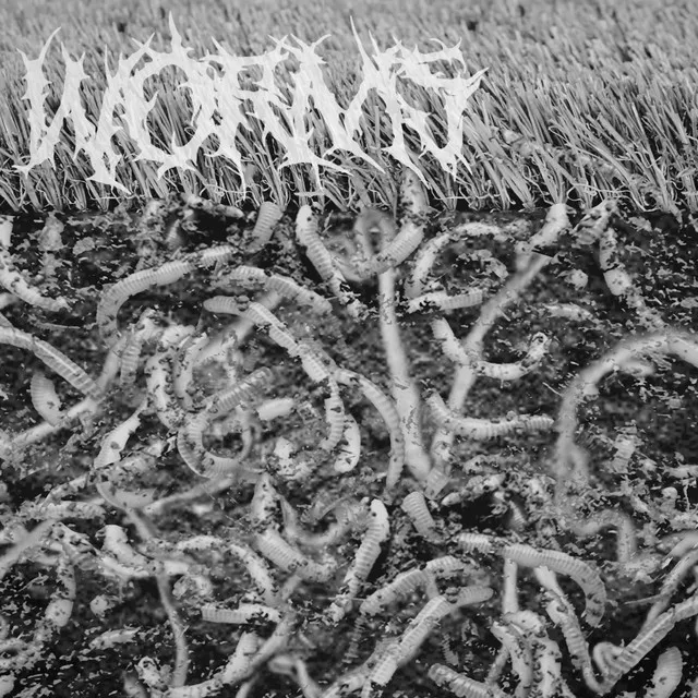 WORMS