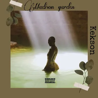 Madison Garden by Kekson