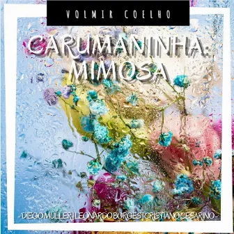 Carumaninha: Mimosa by Volmir Coelho