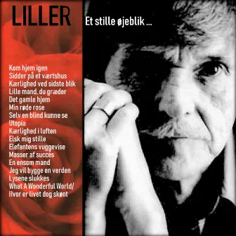 Et stille øjeblik by Liller