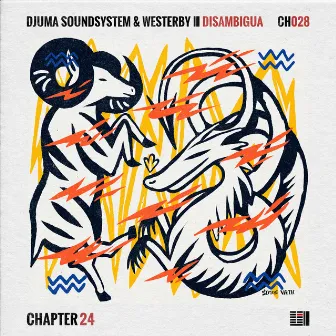 Disambigua by Djuma Soundsystem